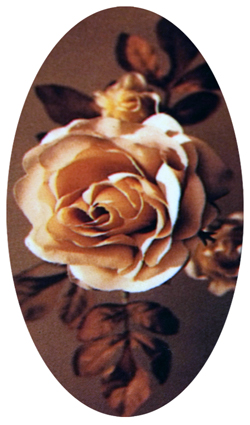 DNSBLUF-071 Imperial Rose Brown